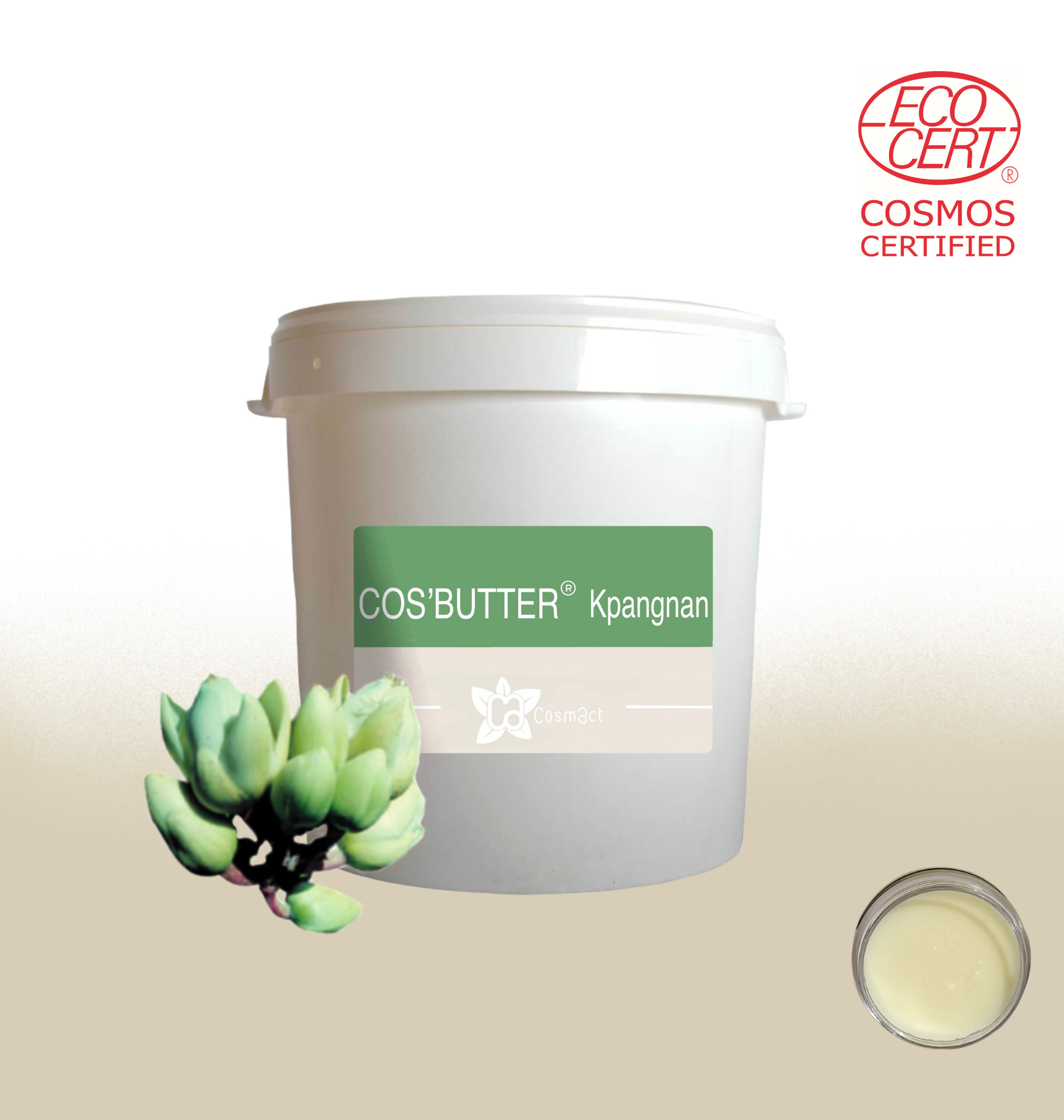 Lire la suite à propos de l’article COS’BUTTER® KPANGNAN-BEURRE DE KPANGNAN COSMOS
