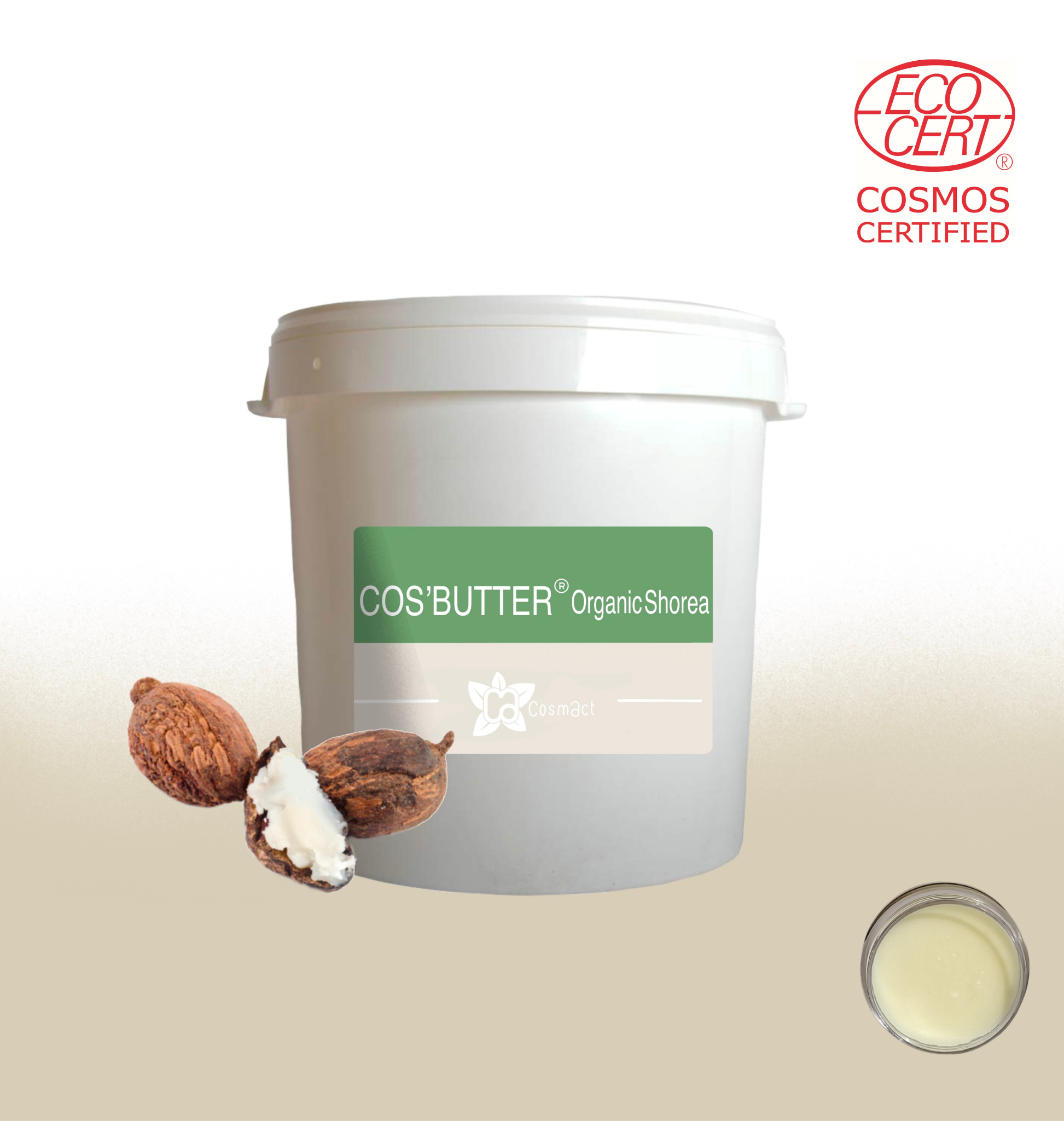 Lire la suite à propos de l’article COS’BUTTER® SHOREA-BEURRE DE SHOREA BIO COSMOS