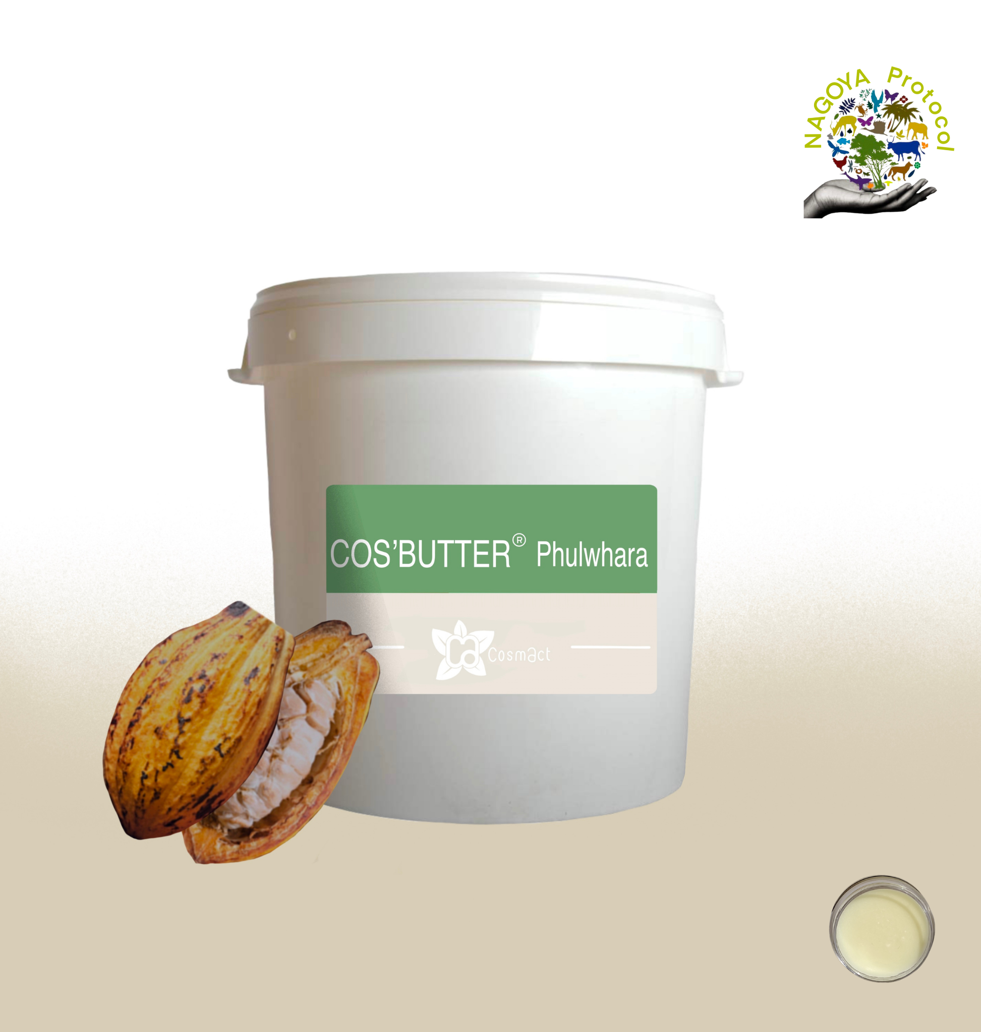 Lire la suite à propos de l’article COS’BUTTER® PHULWHARA-BEURRE DE PHULWARAH COSMOS